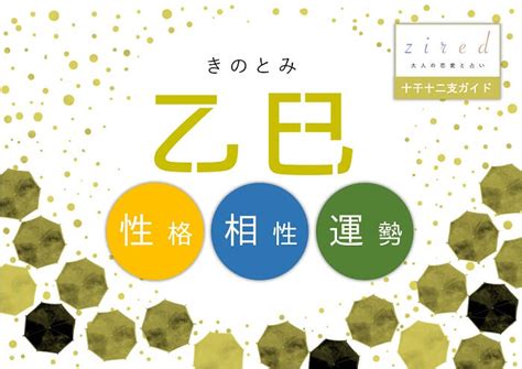 乙巳年 性格|『乙巳(きのとみ)』の性格や特徴は？